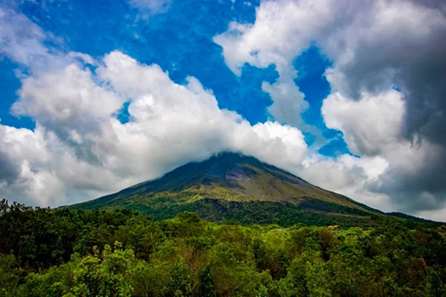 Proyecyos de Carbono - Blog de Atuk
