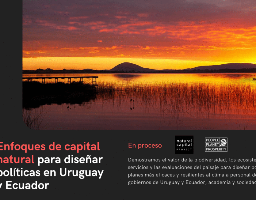 29 NatCap UY EC 29 NatCap UY EC