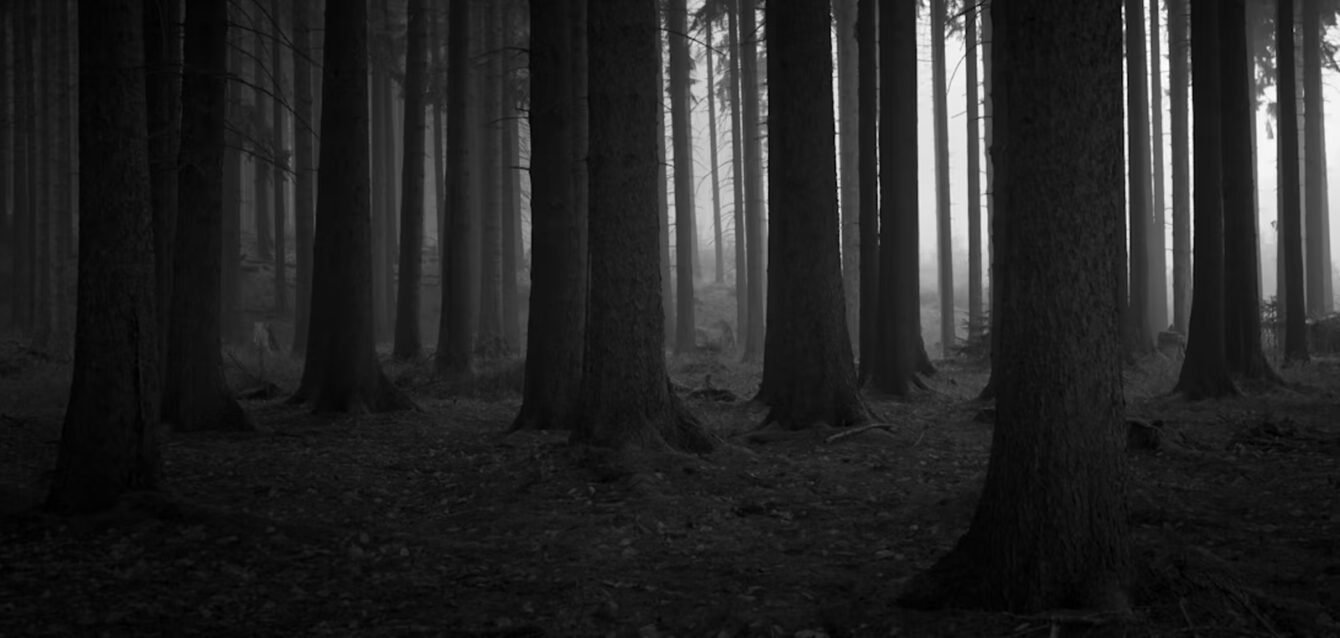 Return on investment in watershed interventions water funds