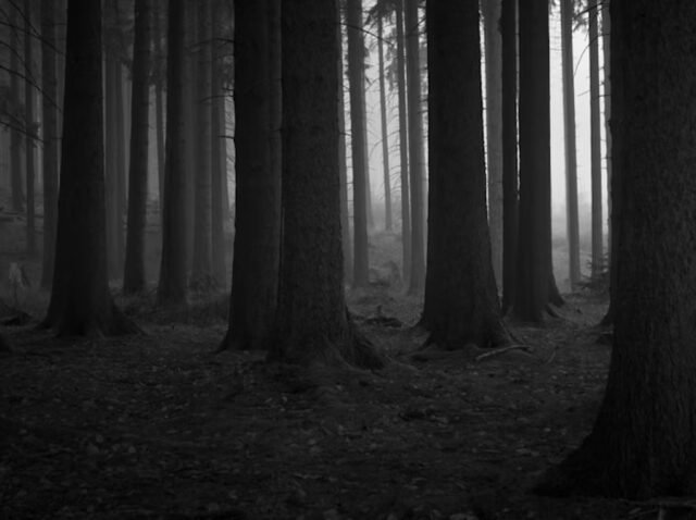 Return on investment in watershed interventions water funds Return on investment in watershed interventions water funds