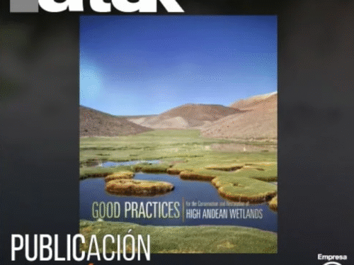 Atuk-artículo-cientifico