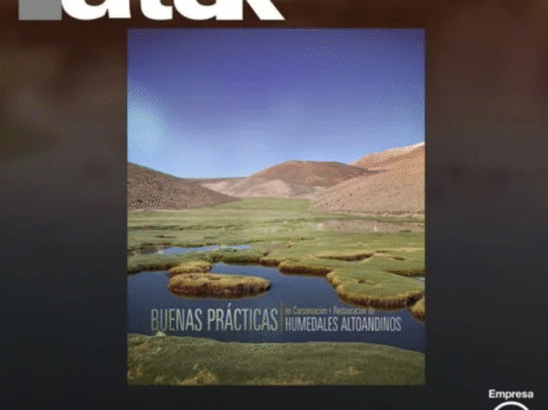 Atuk-artículo-cientifico