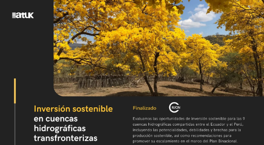 Screenshot 2025-09-11 at 10.58.17 AM