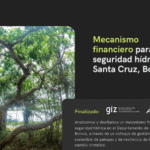Análisis y propuesta de un mecanismo financiero para la seguridad hídrica en el Departamento de Santa Cruz