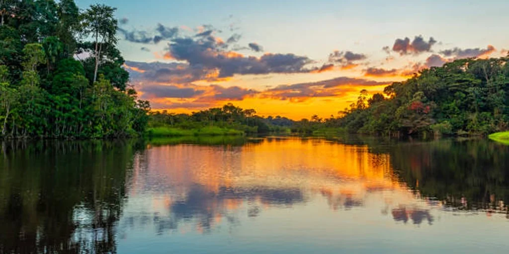 Carbono-e-hidrologia-de-los-bionegocios-y-ecosistemas-ATUK