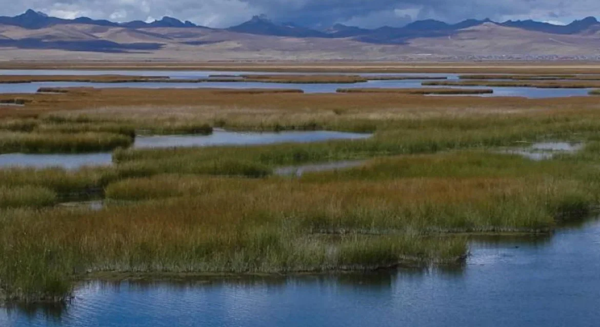 roi-agua-atuk-blog-1170x725 roi-agua-atuk-blog-1170x725