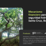 Análisis y propuesta de un mecanismo financiero para la seguridad hídrica en el Departamento de Santa Cruz
