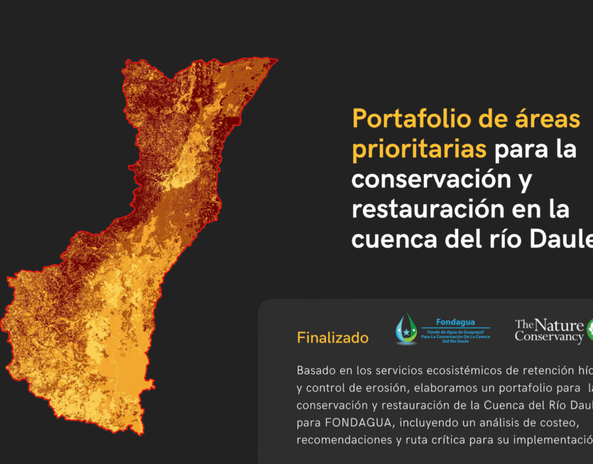 6 FONDAGUA 6 FONDAGUA
