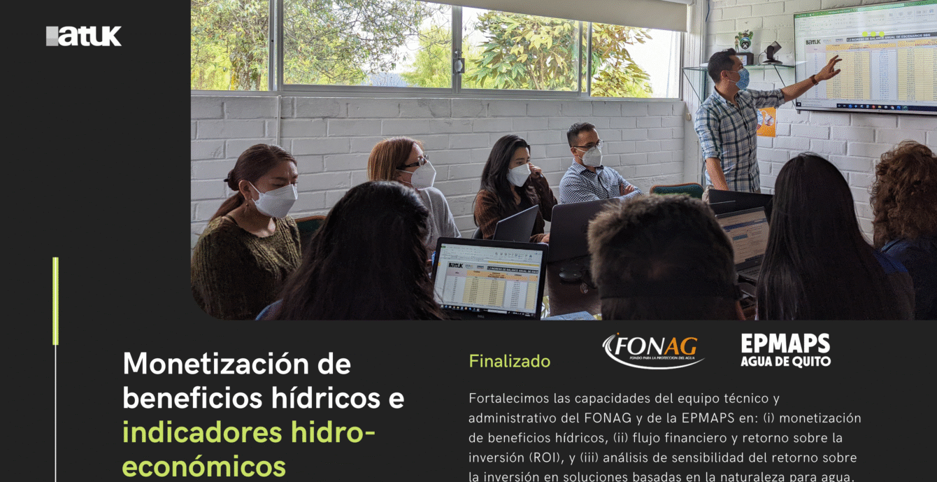 11 Curso ROI