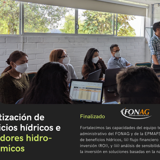 11 Curso ROI
