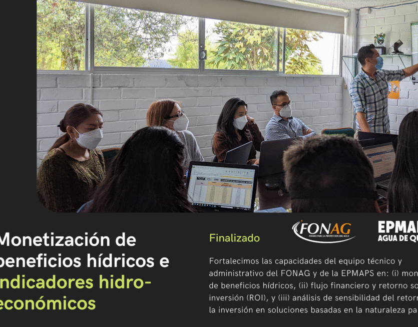 11 Curso ROI 11 Curso ROI