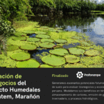 Estudio de modelamiento hidrológico y escenarios climáticos para la evaluación de bionegocios y ecosistemas del Proyecto Humedales del Datem, Marañón, Loreto