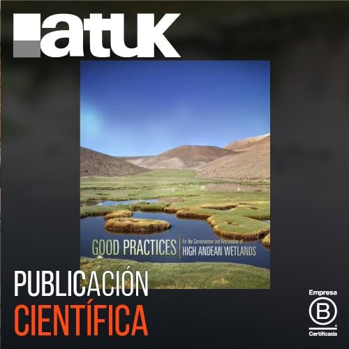 Good practices for the conservation and restoration of high Andean wetlands
