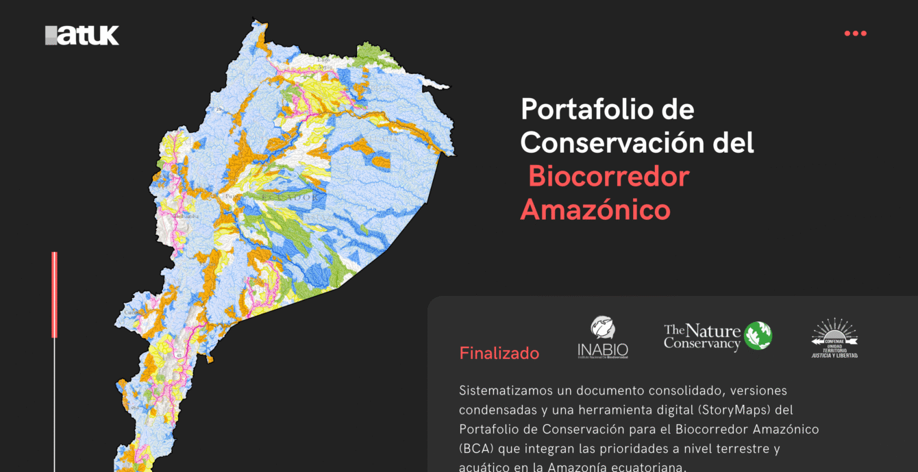 24 Portafolio BCA
