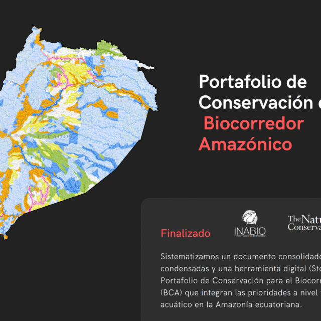 24 Portafolio BCA