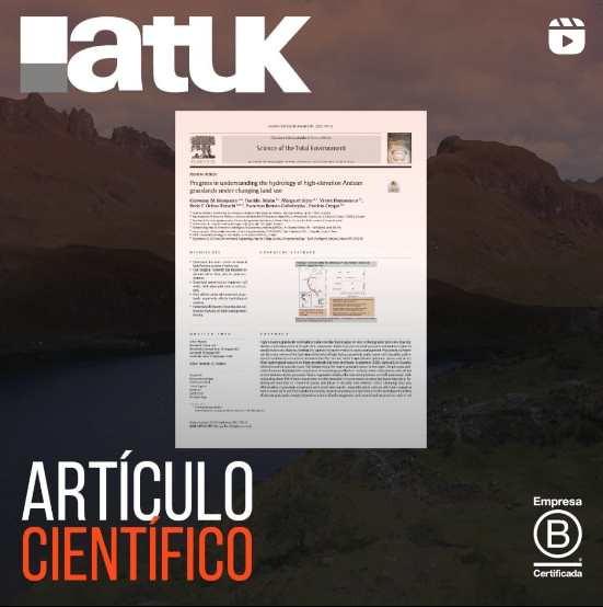 Ecohydrology and ecosystem services of a natural and an artificial bofedal wetland in the central Andes
