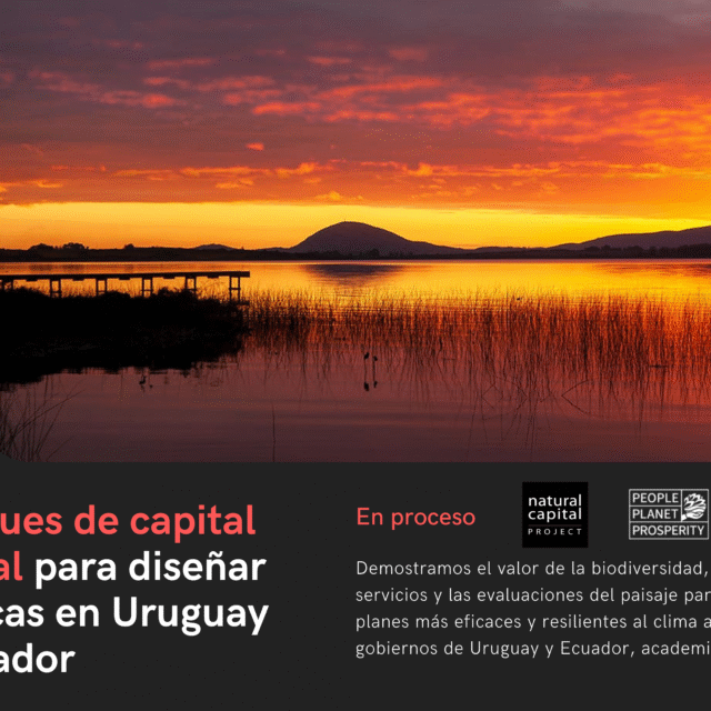 29 NatCap UY EC