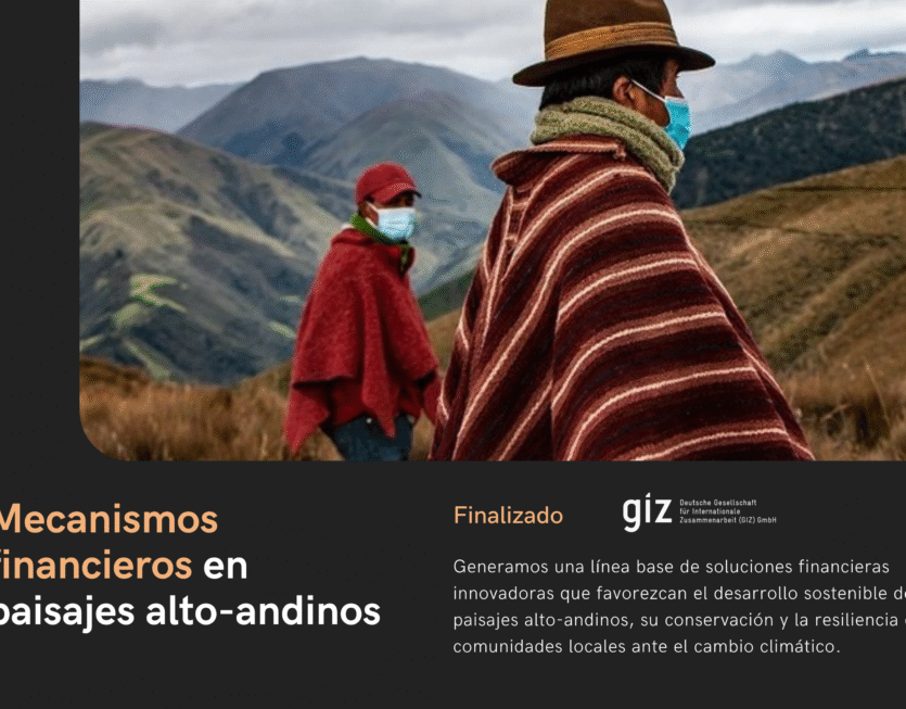 32 Mecanismos Financieros 32 Mecanismos Financieros