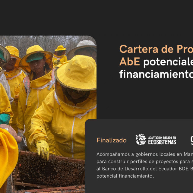 33 Cartera AbE
