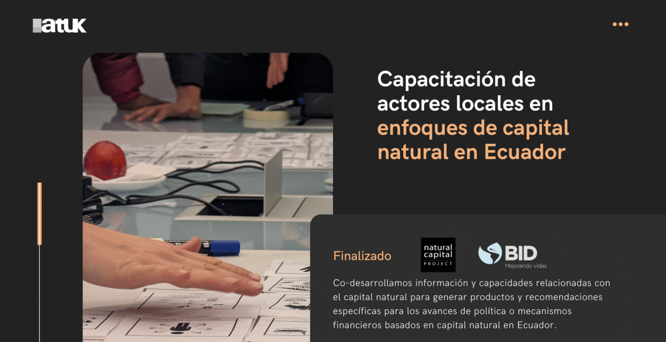 35 Talleres NatCap
