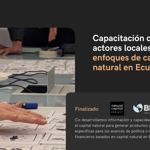35 Talleres NatCap
