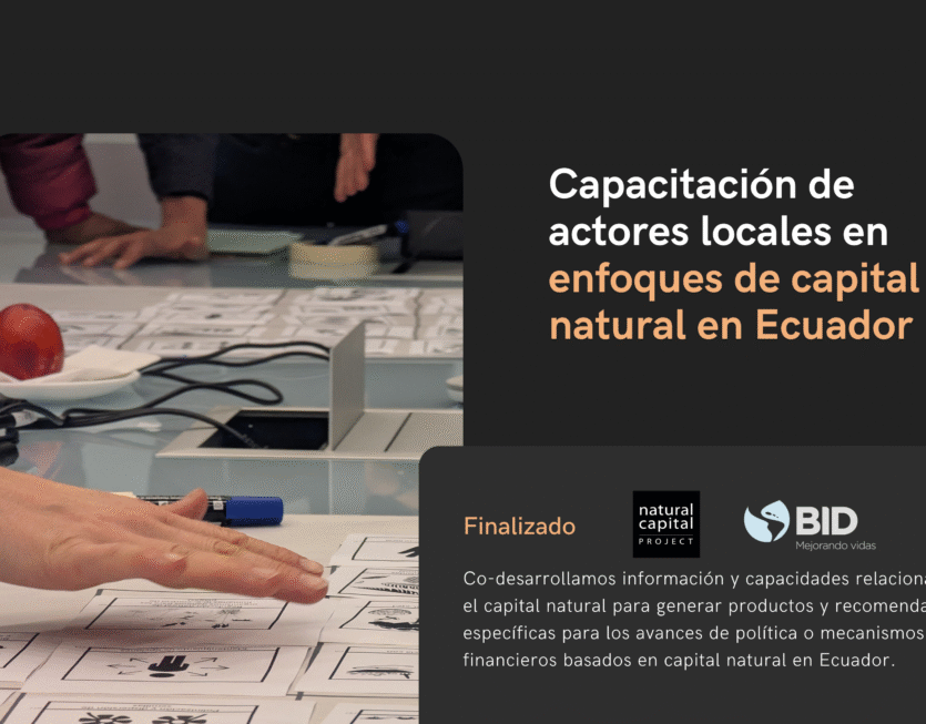 35 Talleres NatCap