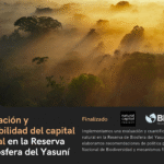 Transformando las políticas y las inversiones mediante la incorporación de enfoques rápidos para la evaluación y contabilidad del capital natural
