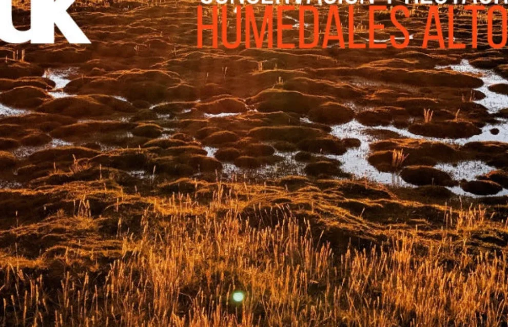 Conservacion-y-Restauracion-de-Humedales-Altoandinos-990x512-990x840