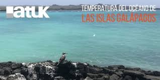 atuk-galapagos