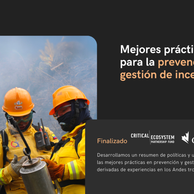 36 Productos Incendios