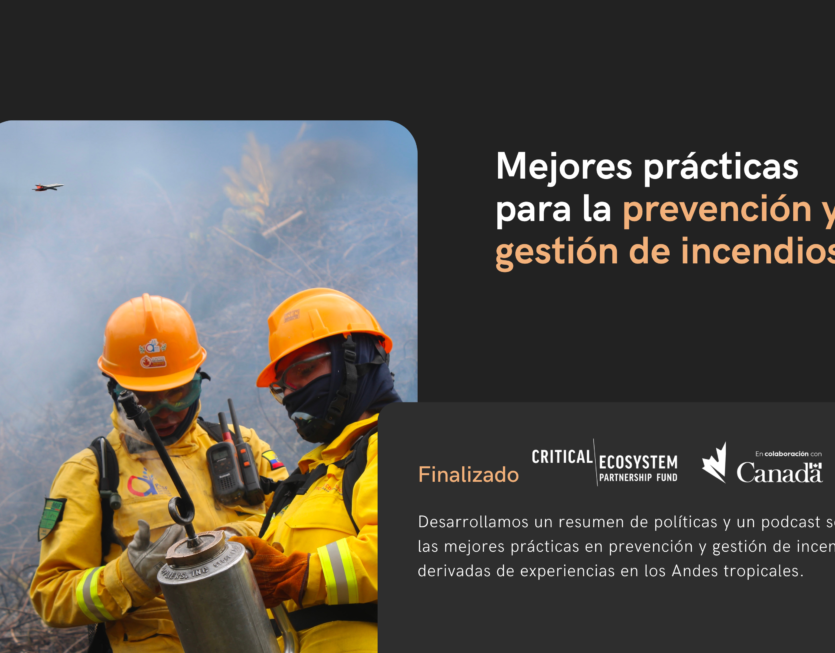36 Productos Incendios
