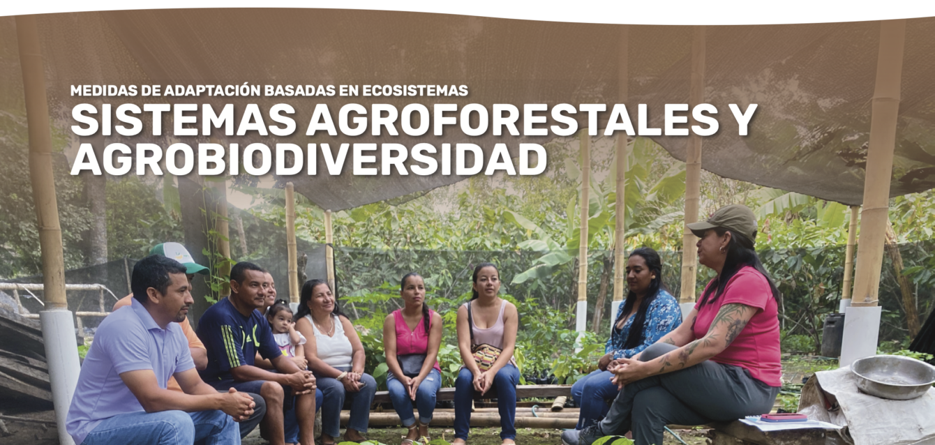 AbE Agroforestal - cover brief