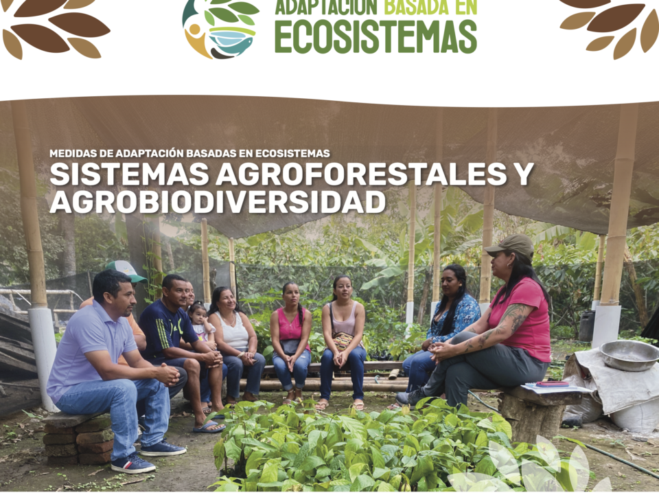 AbE Agroforestal - cover brief