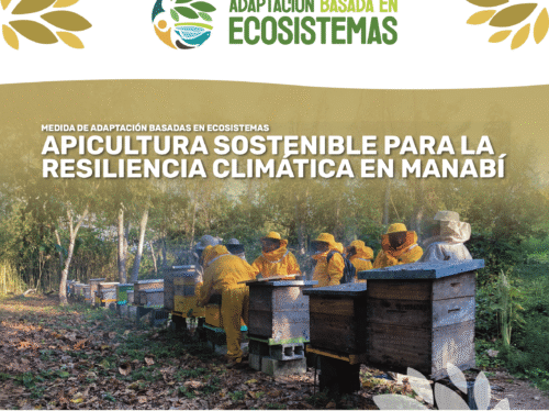 AbE Apicultura - cover brief