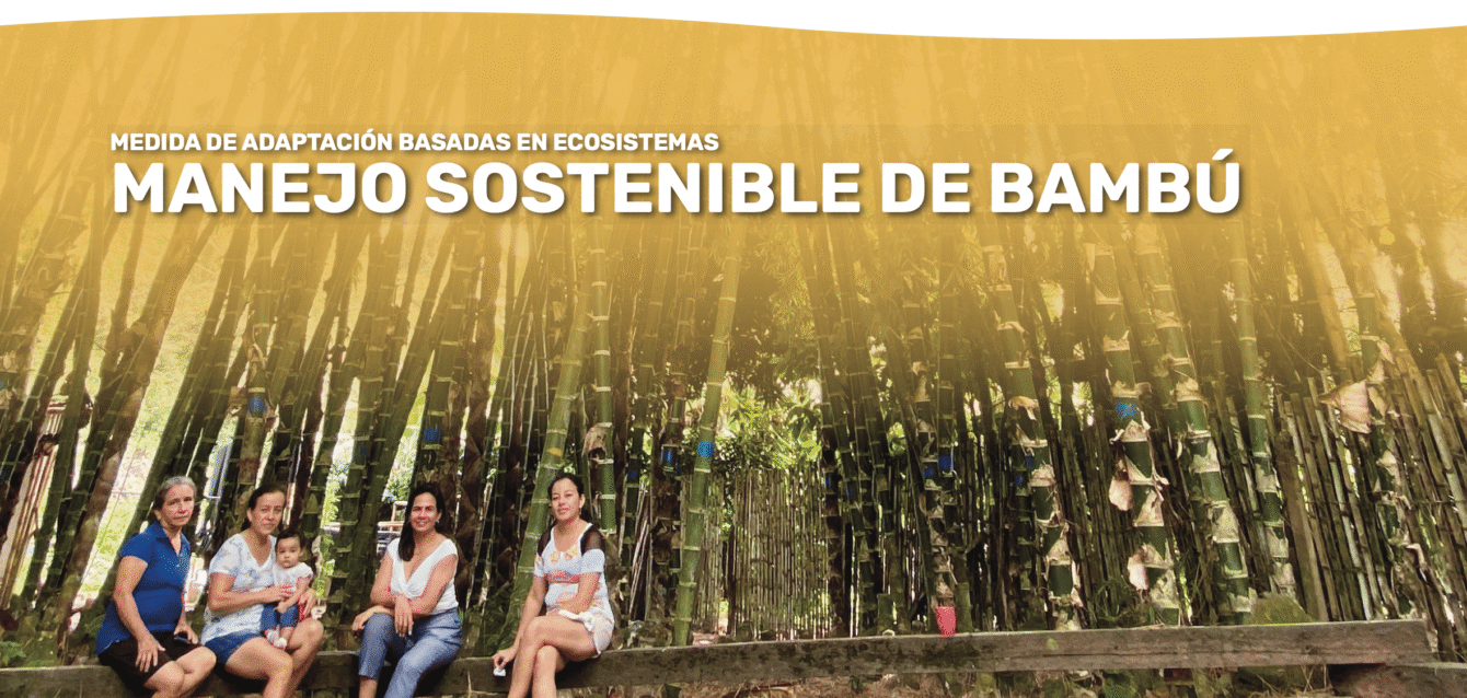 AbE Bambu - cover brief