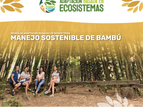 AbE Bambu - cover brief