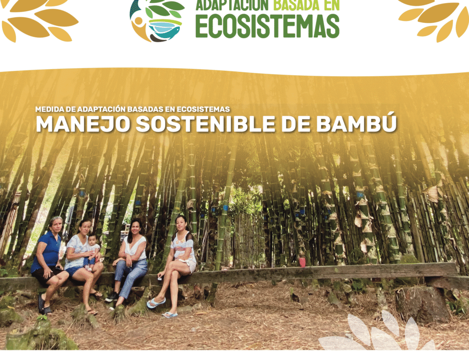 AbE Bambu - cover brief