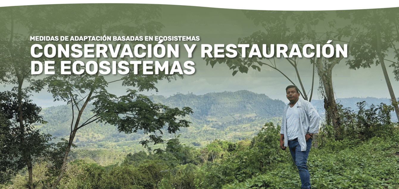 AbE Conservacion Restauracion - cover brief