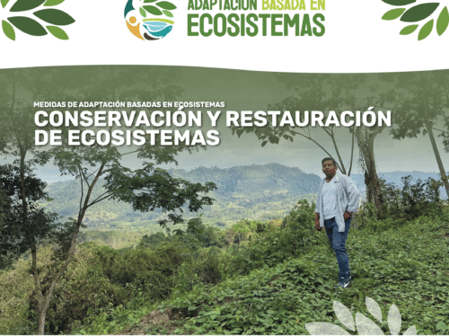 AbE Conservacion Restauracion - cover brief