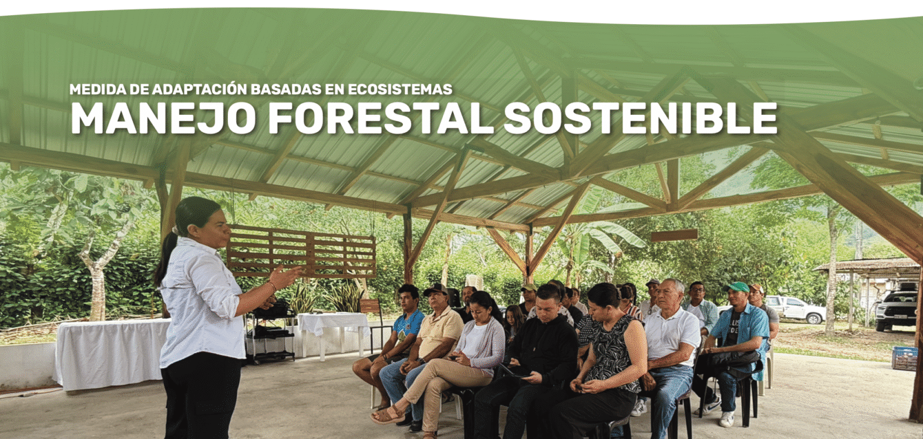 AbE Manejo Forestal - cover brief