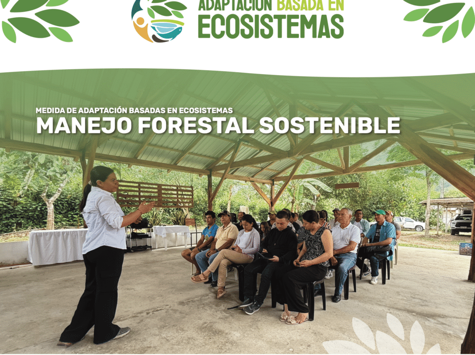 AbE Manejo Forestal - cover brief