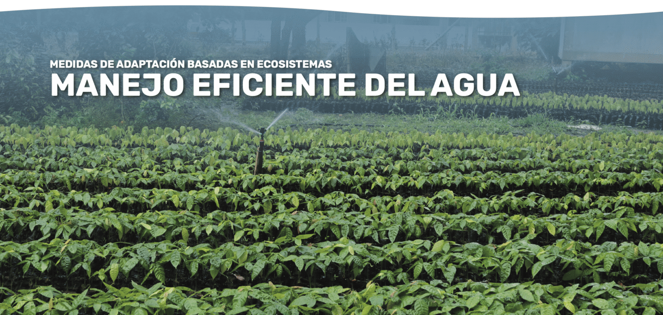 AbE Manejo Agua - cover brief