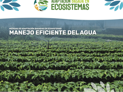 AbE Manejo Agua - cover brief