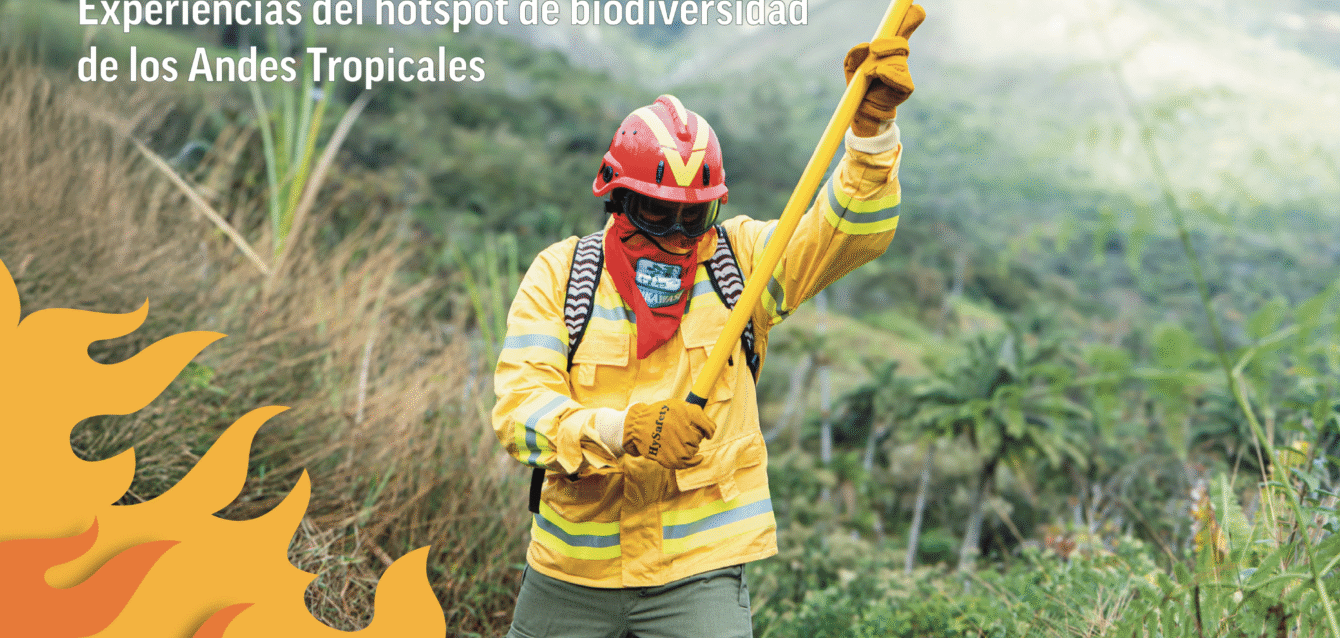 Brief Incendios - ES - cover brief