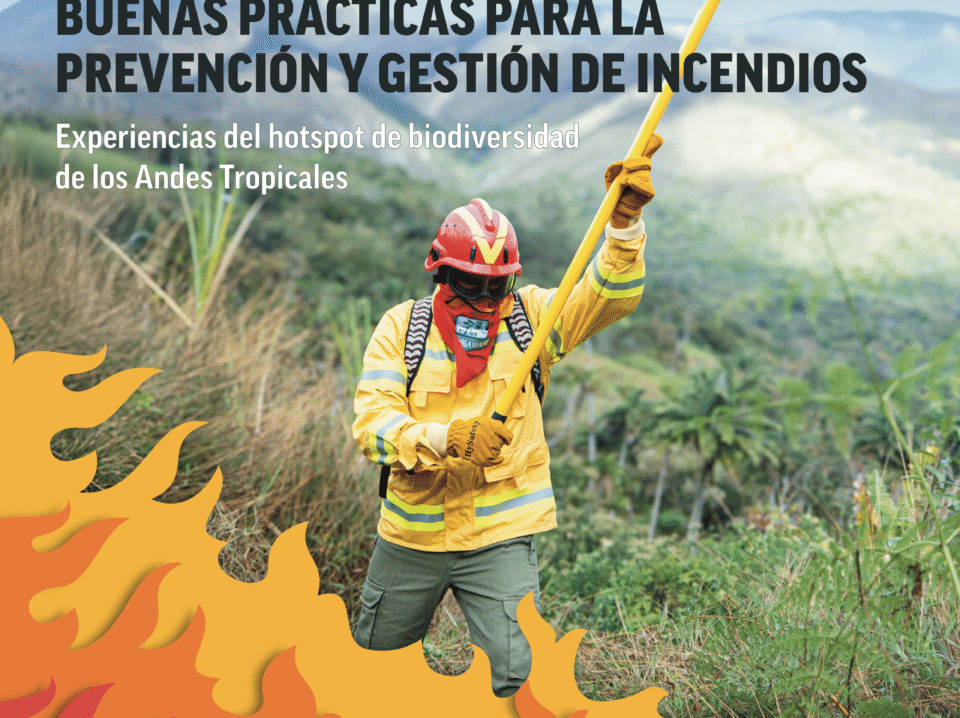 Brief Incendios - ES - cover brief