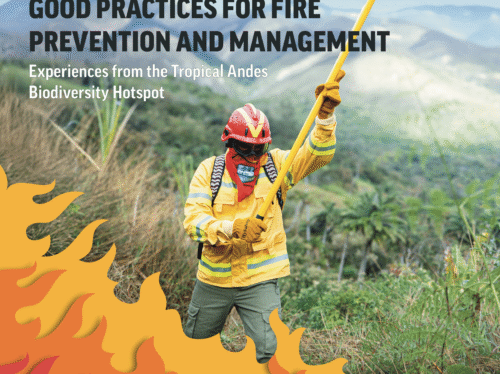 Brief Incendios - EN - cover brief