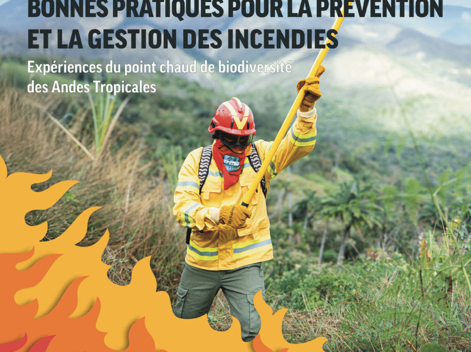 Brief Incendios - FR - cover brief