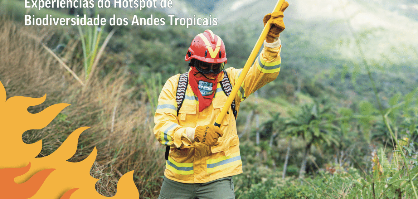Brief Incendios - PT - cover brief