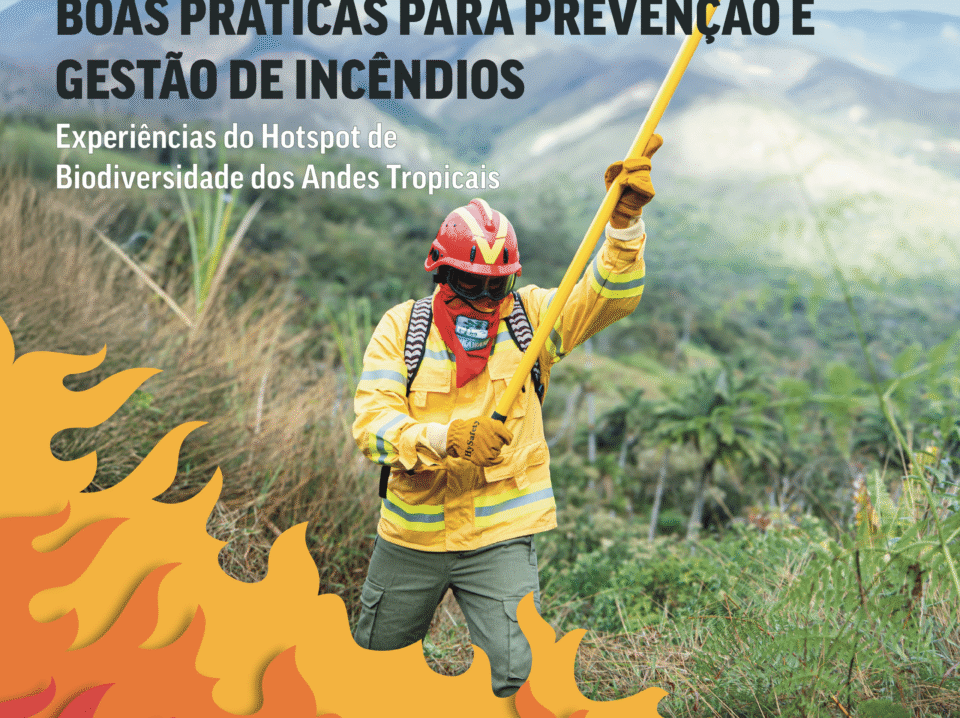 Brief Incendios - PT - cover brief
